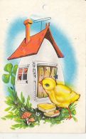 72129- EGG HOUSE, CHICKEN, FLOWERS, MUSHROOMS - Champignons