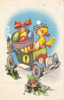 72130- DUCKLING, CAR, PAINTED EGGS, MUSHROOMS - Paddestoelen