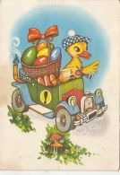 72131- DUCKLING, CAR, PAINTED EGGS, MUSHROOMS - Funghi