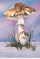 72137- MUSHROOMS - Mushrooms
