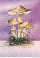 72138- MUSHROOMS - Mushrooms
