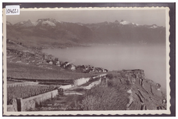 DISTRICT DE LAVAUX - RIVAZ - TB - Rivaz