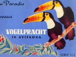 « AU PARADIS DES OISEAUX » Albums Des Séries 1 Et 2 Réunies -  Complets - Distribué Par S. A. Taminiau, Bxl - Album & Cataloghi