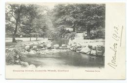 Sheffield Yorkshire   Postcard  Unused Endcliffe Woods Unused  Valentines Dated 1903 - Sheffield