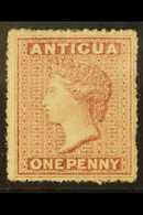 1863-67 1d Rosy Mauve, Watermark Small Star, Rough Perf 14-16, SG 5, Very Fine Mint With Original Gum. For More Images,  - Andere & Zonder Classificatie