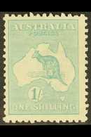 1915-27 1s Blue-green Kangaroo, Die IIB, SG 40b, Never Hinged Mint. For More Images, Please Visit Http://www.sandafayre. - Other & Unclassified