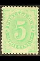 POSTAGE DUE 1902 5s Emerald-green, SG D8, Very Fine Mint. For More Images, Please Visit Http://www.sandafayre.com/itemde - Other & Unclassified