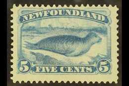 1880-82 5c Pale Dull Blue Common Seal, Perf 12, SG 48, Fine Mint With Original Gum. For More Images, Please Visit Http:/ - Autres & Non Classés