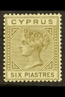 1882-86 6pi Olive-grey, Die I, Watermark Crown CA, SG 21, Fine Mint. For More Images, Please Visit Http://www.sandafayre - Sonstige & Ohne Zuordnung