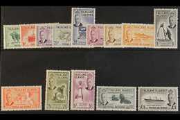 1952 KGVI Definitives Complete Set, SG 172/85, Never Hinged Mint. Lovely! (14 Stamps) For More Images, Please Visit Http - Falklandeilanden