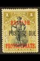 POSTAGE DUE 1902-12 1c Black And Bistre-brown (no Stop After "DUE"), SG D37a, Fine Unused (no Gum). For More Images, Ple - Noord Borneo (...-1963)