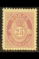 1893 25ore Mauve, Knudsen Printing, Perf 13½x12½, SG 107, Very Fine Mint. For More Images, Please Visit Http://www.sanda - Altri & Non Classificati