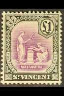 1913-17 £1 Mauve & Black, MCA Wmk, SG 120, Very Fine Mint For More Images, Please Visit Http://www.sandafayre.com/itemde - St.Vincent (...-1979)