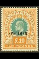 NATAL 1902 £10 Green & Orange, Wmk Crown CC, "SPECIMEN" Overprint, SG 145as, Very Fine Mint. For More Images, Please Vis - Unclassified