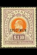 NATAL 1904-08 £1.10s Brown-orange & Deep Purple, Wmk Mult Crown CA, "SPECIMEN" Overprint, SG 162s, Very Fine Mint. For M - Non Classés