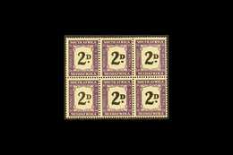 1948-49 POSTAGE DUE 2d Black And Violet, Block Of Six, Showing Thick (double) "D" In Four Positions (R15 5-6, R16 5-6),  - Zonder Classificatie