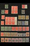1924-36 MINT KGV ACCUMULATION Presented On Stock Pages & We See A 1924-29 "Admiral" Range To 8d That Includes 1d Blocks  - Rhodesia Del Sud (...-1964)