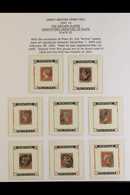 1841 THE "ARCHER" PLATES. A Collection Of Used Stamps Informatively Displayed On 11 Exhibition Pages Of The 1841 1d Red- - Other & Unclassified