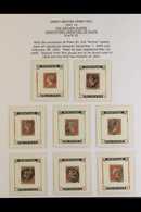 1841 THE "ARCHER" PLATES. A Collection Of Used Stamps Informatively Displayed On 11 Exhibition Pages Of The 1841 1d Red- - Autres & Non Classés