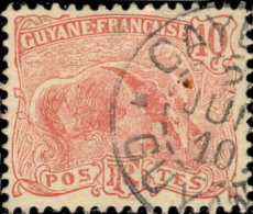 Guyane 1904. ~ YT 53 - 10 C. Fourmilier - Gebruikt