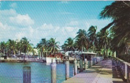 Florida Fort Myers Palm Circled Yacht Basin 1954 - Fort Myers