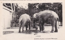 HÔ-CHI-MINH -VILLE - SAÎGON - VIET- NAM - CPSM DENTELÉE DE 1955. - Elefanten