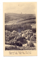 5942 KIRCHHUNDEM - OBERHUNDEM, Risperwald, 1949 - Olpe