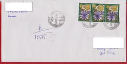 LETTER REGISTERED ROMANIA NICE STAMPS FLOWERS - Covers & Documents