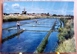 PAYS DE RETZ PITTORESQUE SALINS A BOURNEUF EN RETZ MARAIS SALANS SCAN R/V - Bourgneuf-en-Retz