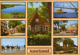 Nederland - Postcard Circulated In 1985  -  Ameland - Collage Of Images  - 2/scans - Ameland