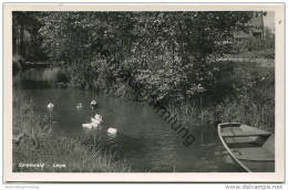 Leipe - Spreewald - Foto-AK - Verlag Schöning & Co. Lübeck - Luebbenau