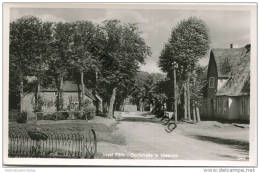 Insel Föhr - Dorfstrasse In Nieblum - Foto-AK - Verlag E. Rubin Lübeck - Föhr