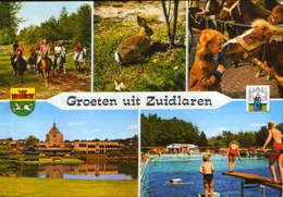 Nederland - Postcard Circulated In 1982 - Zuidlaren - Collage Of Images  - 2/scans - Zuidlaren