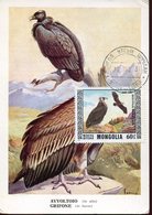 35647 Mongolia, Maximum 1976, Grifone Avvoltoio,vulture Geier Vautour - Eagles & Birds Of Prey