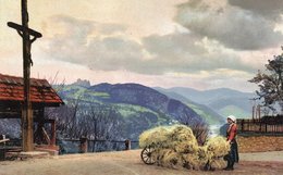 FRUHLING IM BOHM.-MITTELGEBIRGE-NON VIAGGIATA-PHOTOCHROMIE - Guenzburg