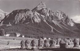 Postcard Ehrwald Tirol Mit Sonnenspitze Farming / Harvest Scene Real Photo My Ref  B12321 - Ehrwald