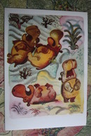 Doctor Doolittle - Hippo - USSR PC - 1978  Postcard - Nijlpaarden