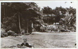 Nederland - Postcard Circulated In 1960 - Venlo  -  In The Garden - 2/scans - Venlo