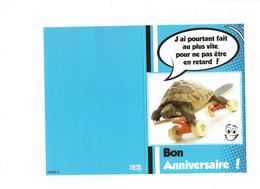 Double Cpm Anniversaire - Tortue Sur Planche Skateboard - Pastel Créations - Tartarughe