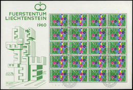1230 Liechtenstein - Ed. 0 355 En HB De 20 1960. Pliego Completo Con Mat. P. Día - Altri & Non Classificati