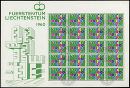 1230 Liechtenstein - Ed. 0 355 En HB De 20 1960. Pliego Completo Con Mat. P. Día - Autres & Non Classés