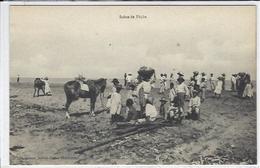 CPA Martinique Fort De France Non Circulé Scène De Pêche - Fort De France