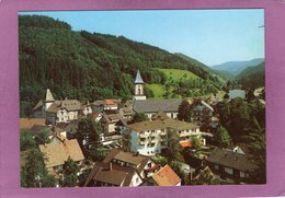 BAD PETERSTAL ( Renchtal ) Das Kneipp Und Mineralbad Im Badischen Schwarzwald - Bad Peterstal-Griesbach