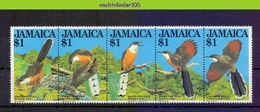 Nbm0685 FAUNA VOGELS KOEKOEK CUCKOO BIRDS VÖGEL AVES OISEAUX JAMAICA 1982 PF/MNH - Cuco, Cuclillos