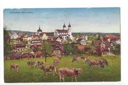 20205 - Eschenbach Troupeau De Vaches - Eschenbach