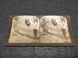 ANTIQUE STEREOSCOPIC REAL PHOTO A DOG RUNNING HIGH JUMP - Stereoscopi