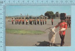 Citadel Quebec Canada  - Changement De Garde Ainsi Que La Mascote  -  CPM Post Card, Carte Postale - Québec - La Citadelle