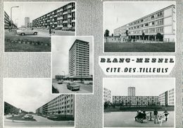 93 - Le Blanc Mesnil : Cité Des Tilleuls - Le Blanc-Mesnil