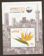 South Africa  1999  SG 1154  Jopex  99    Unmounted Mint Miniature Sheet - Unused Stamps