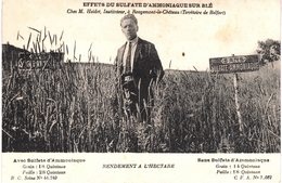 Carte Postale Ancienne De ROUGEMONT Le CHATEAU - Effets Sulfate D'ammoniaque Sur Le Blé - Mr HEIDET - Rougemont-le-Château